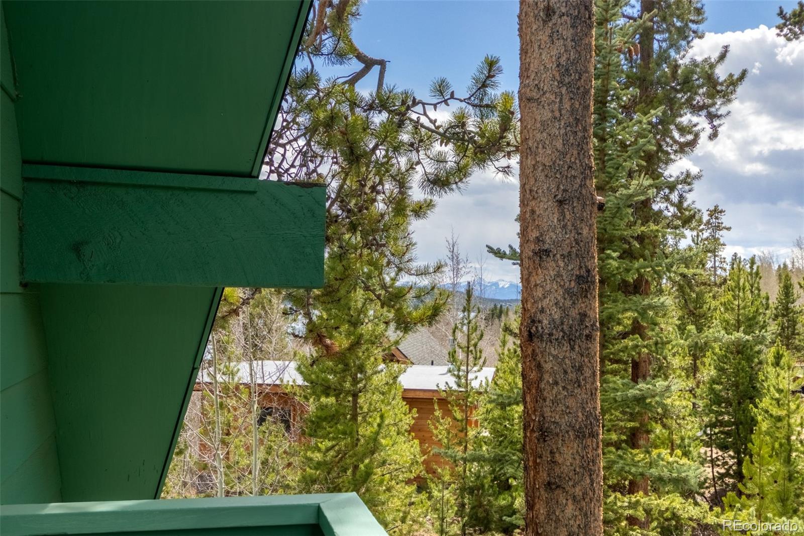 MLS Image #37 for 24  gcr 475 road,grand lake, Colorado