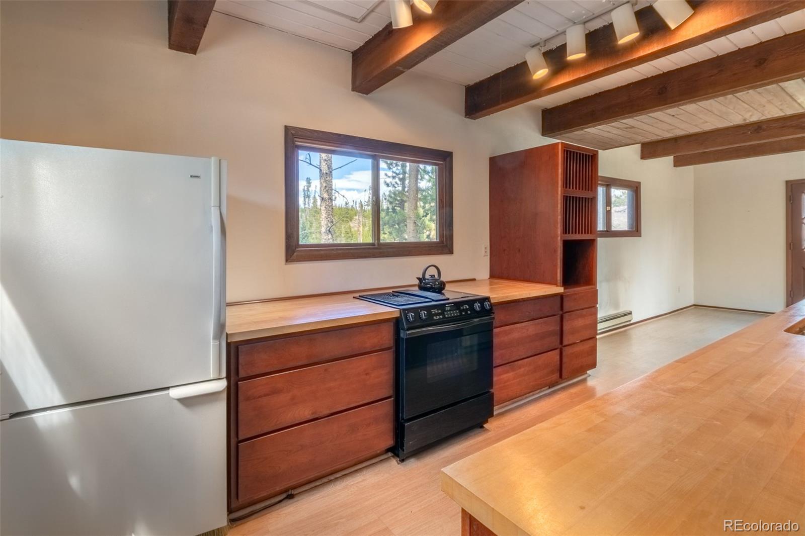 MLS Image #5 for 24  gcr 475 road,grand lake, Colorado
