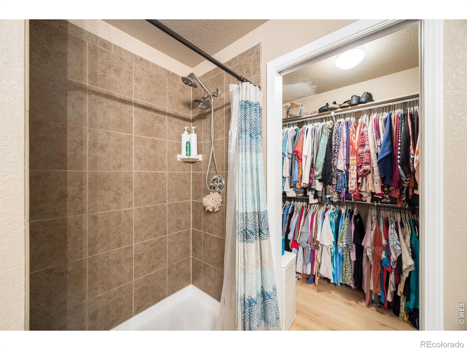 MLS Image #18 for 8461  pebble court,wellington, Colorado