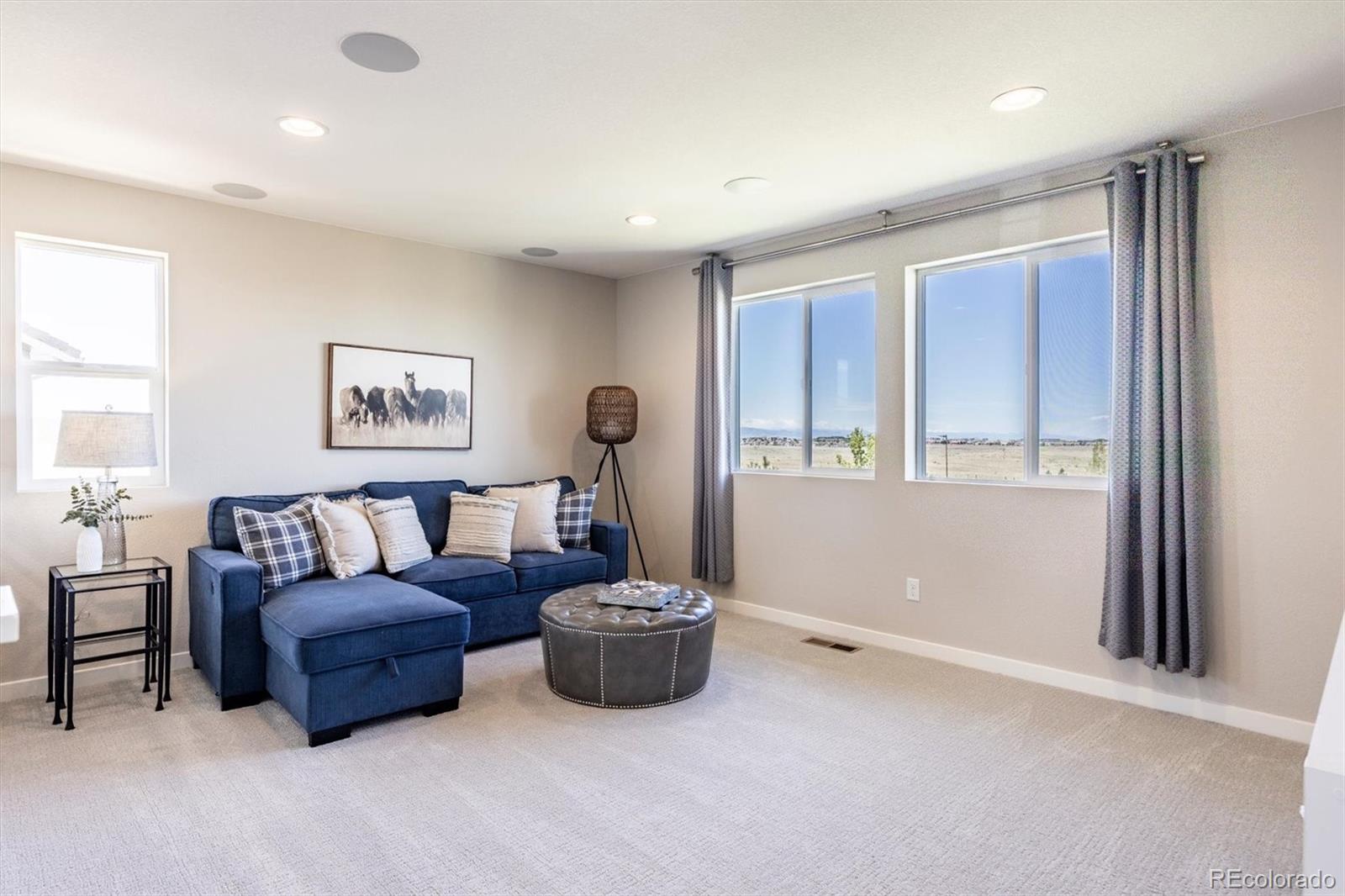 MLS Image #25 for 10887  pastel point,parker, Colorado