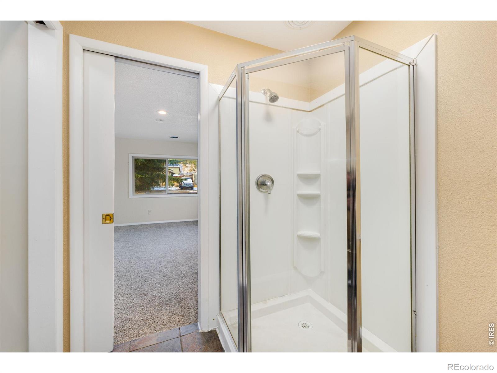 MLS Image #22 for 280  south court,estes park, Colorado