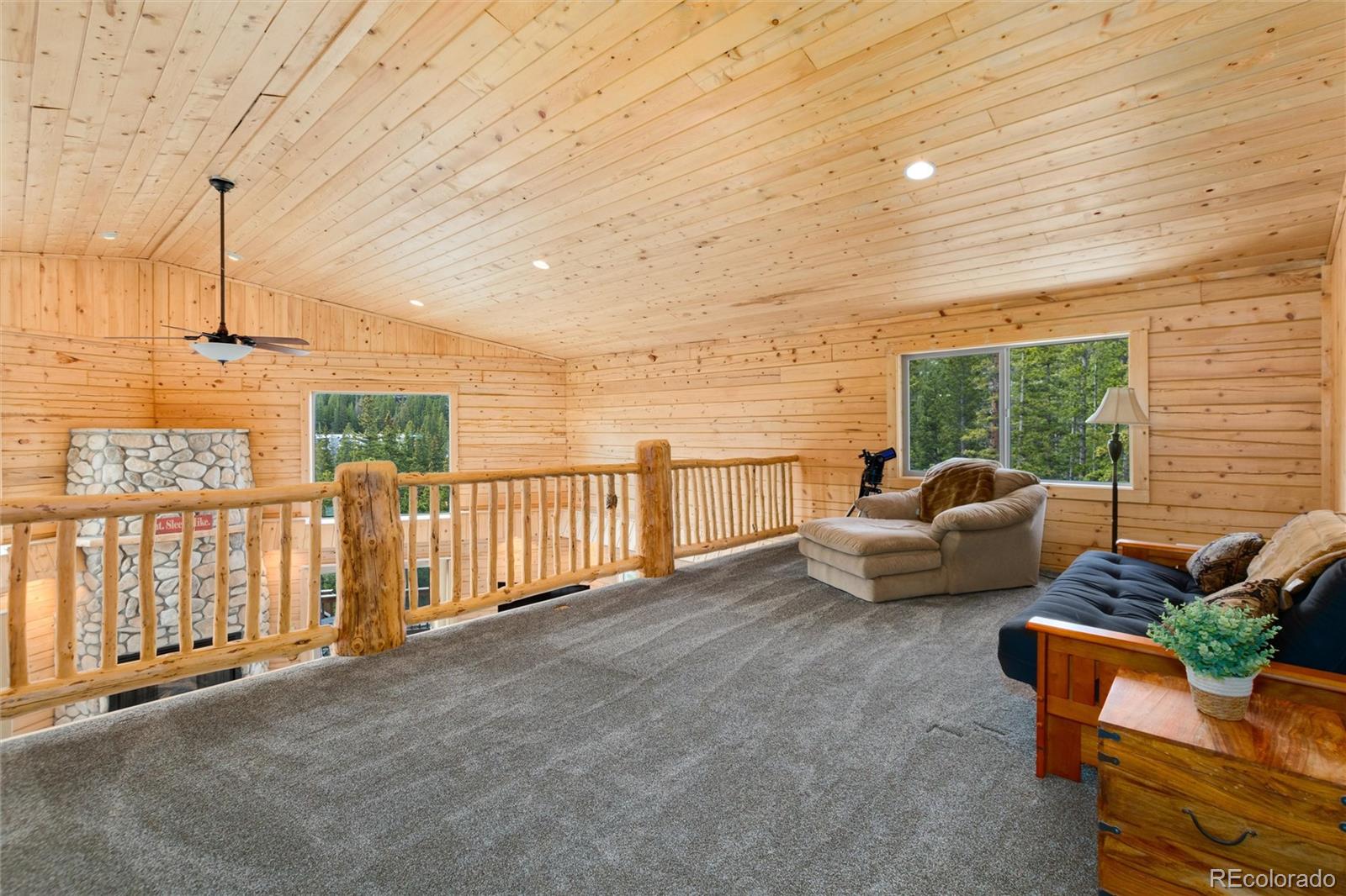 MLS Image #12 for 696  brook drive,idaho springs, Colorado
