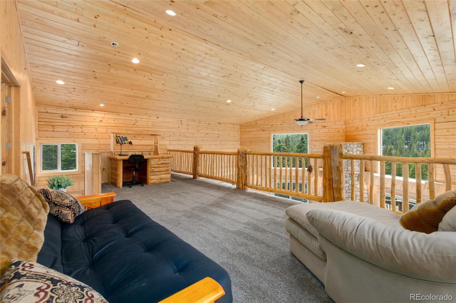 MLS Image #13 for 696  brook drive,idaho springs, Colorado