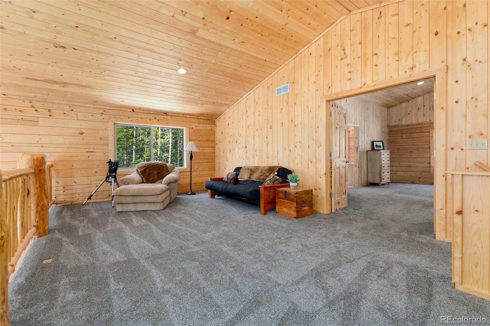 MLS Image #14 for 696  brook drive,idaho springs, Colorado