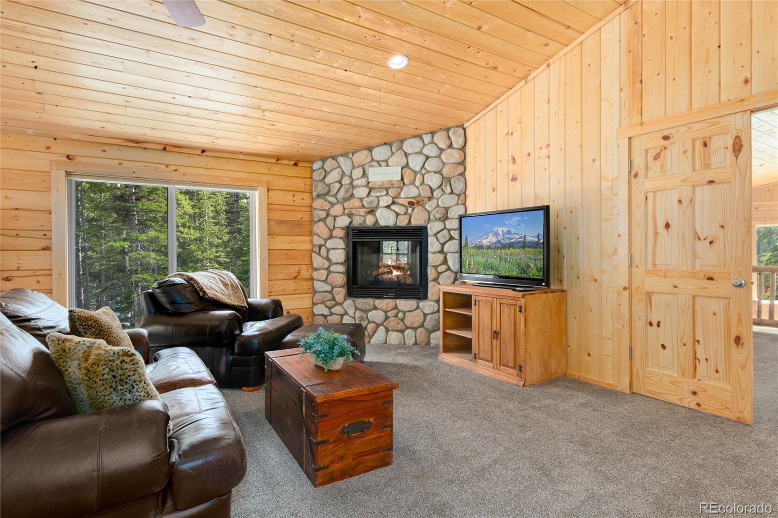 MLS Image #17 for 696  brook drive,idaho springs, Colorado