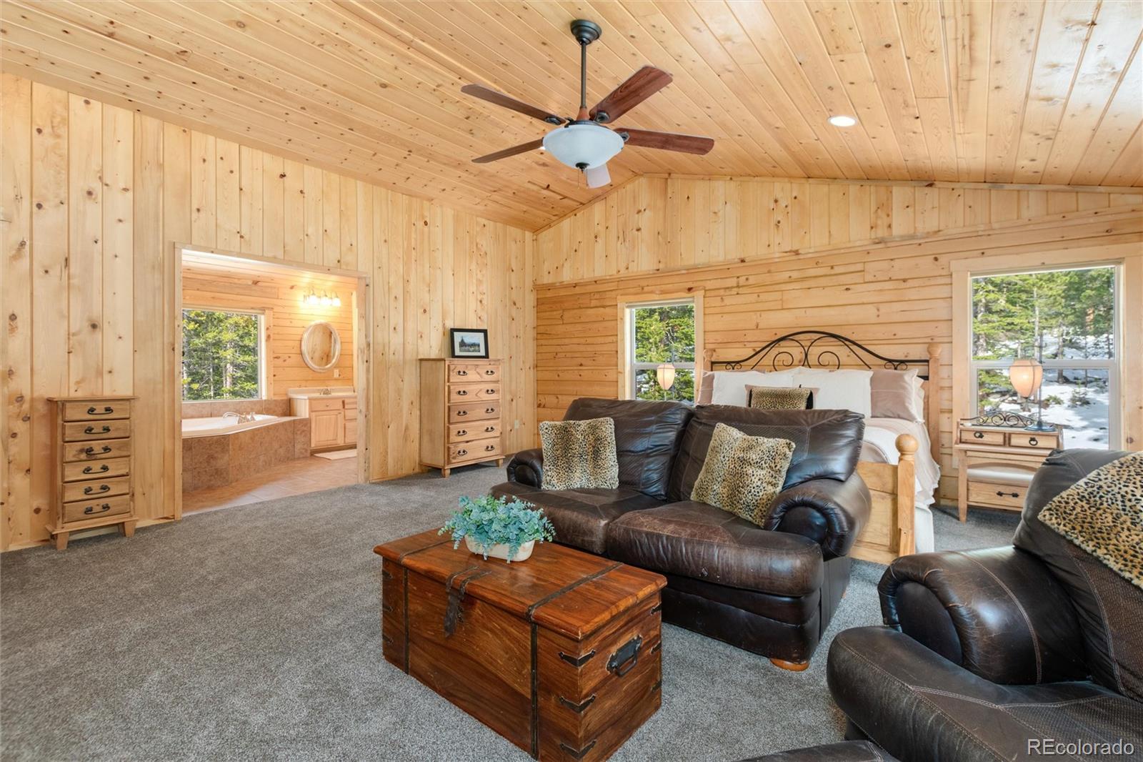 MLS Image #18 for 696  brook drive,idaho springs, Colorado