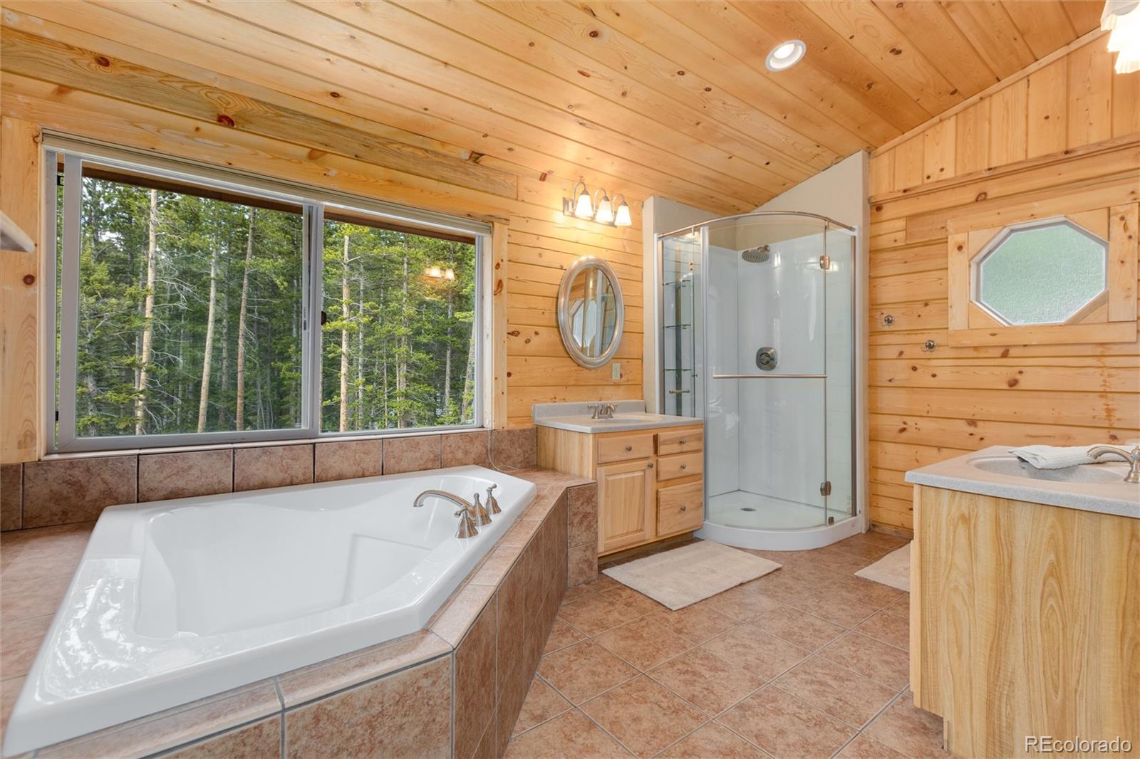 MLS Image #19 for 696  brook drive,idaho springs, Colorado