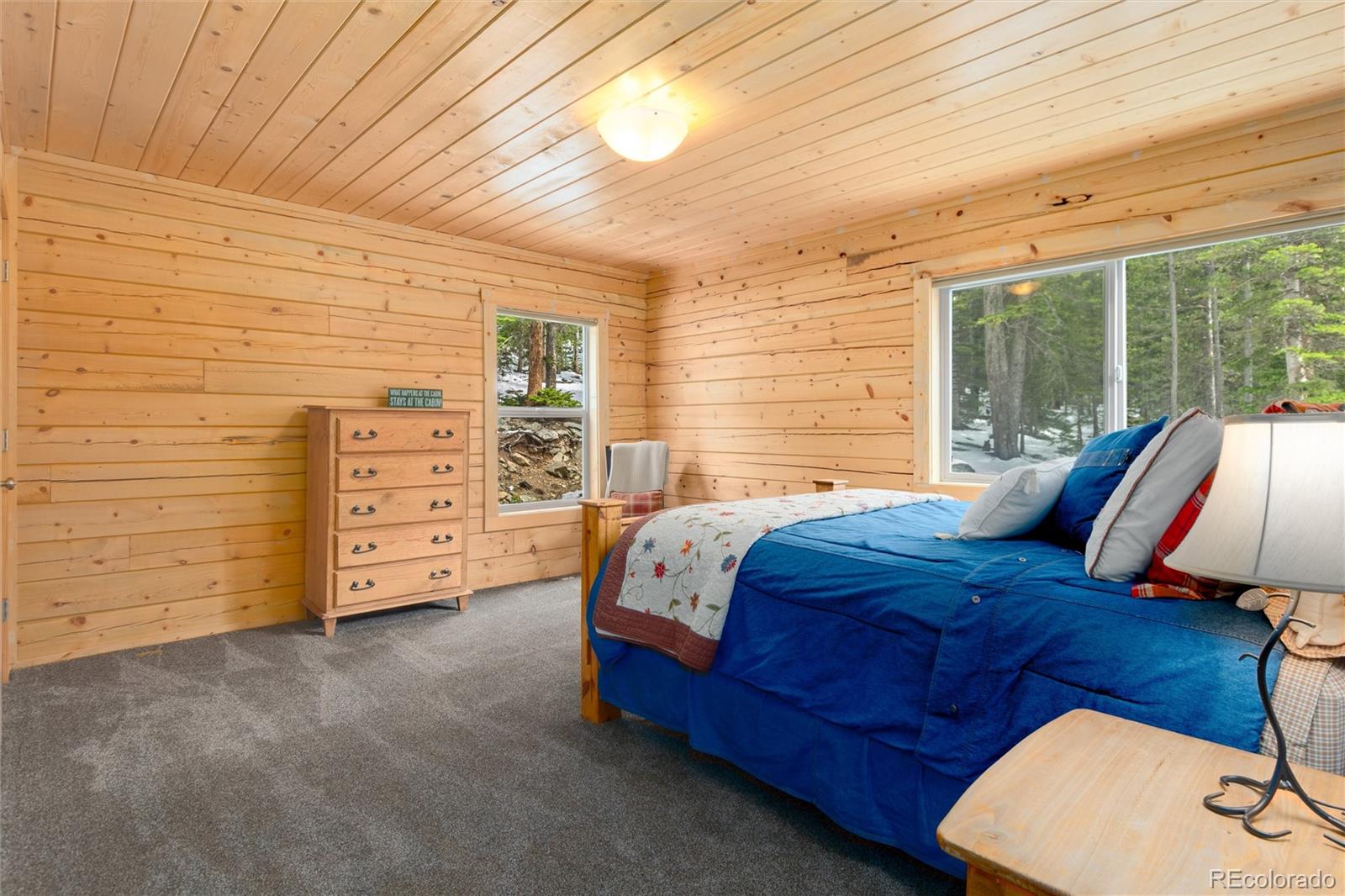 MLS Image #21 for 696  brook drive,idaho springs, Colorado