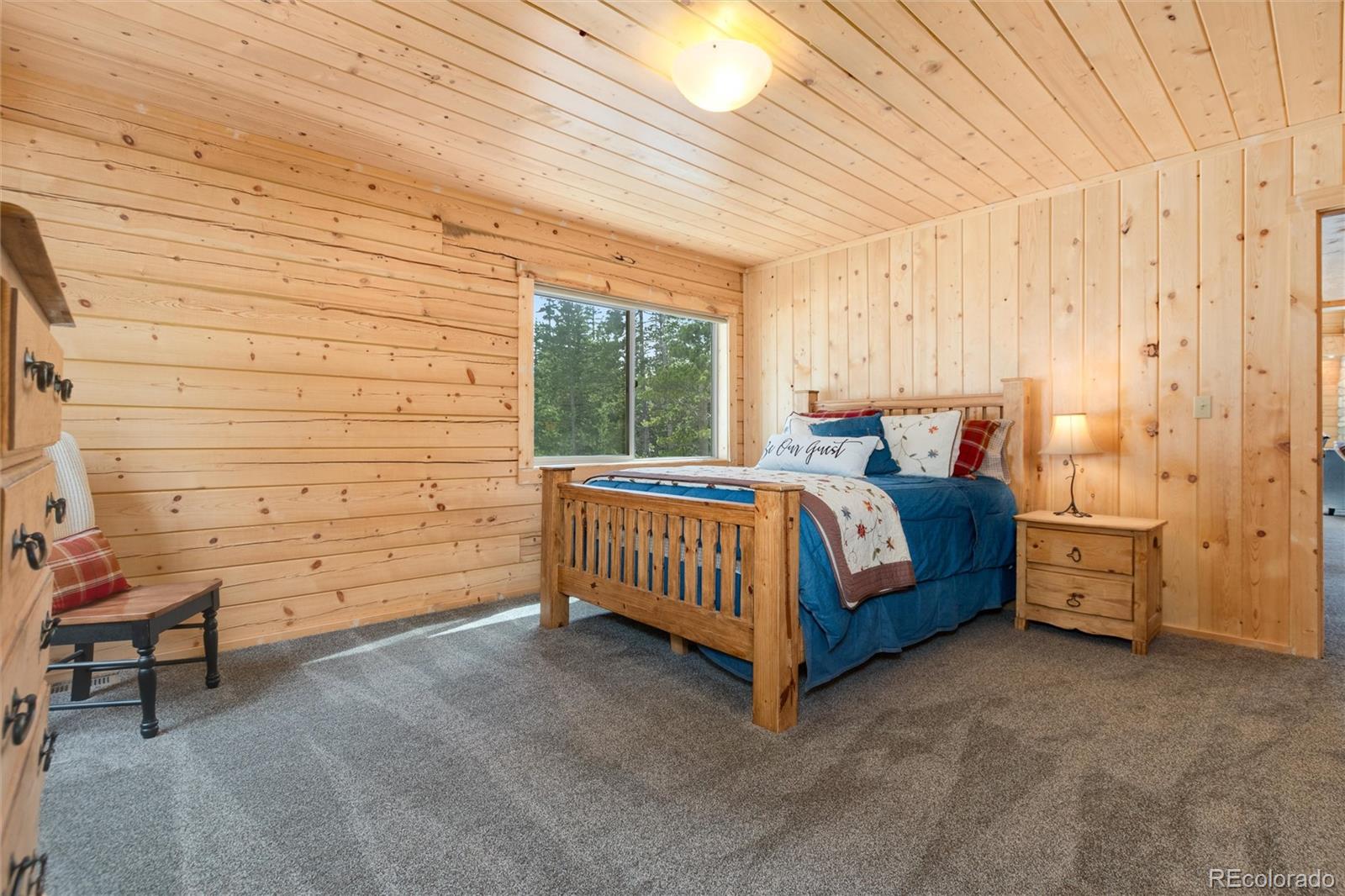 MLS Image #22 for 696  brook drive,idaho springs, Colorado