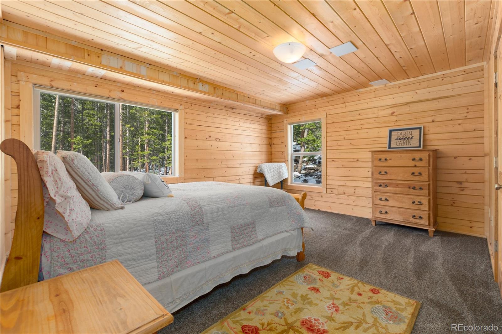 MLS Image #23 for 696  brook drive,idaho springs, Colorado