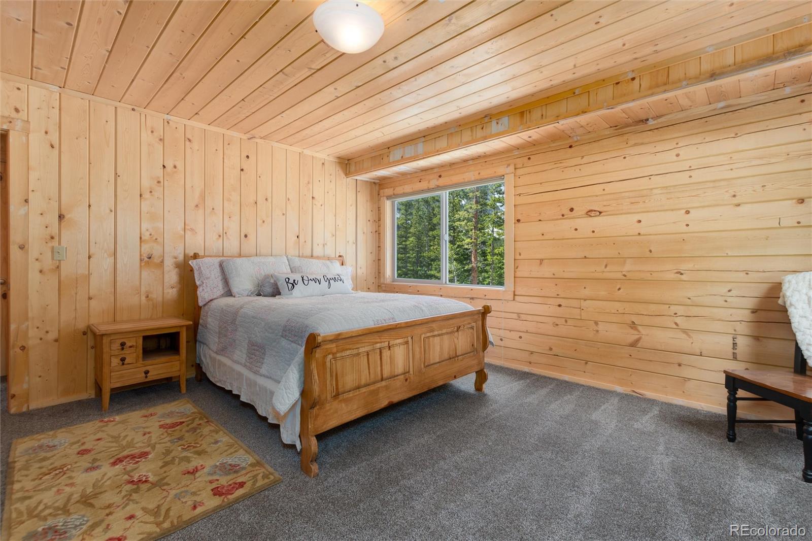 MLS Image #24 for 696  brook drive,idaho springs, Colorado