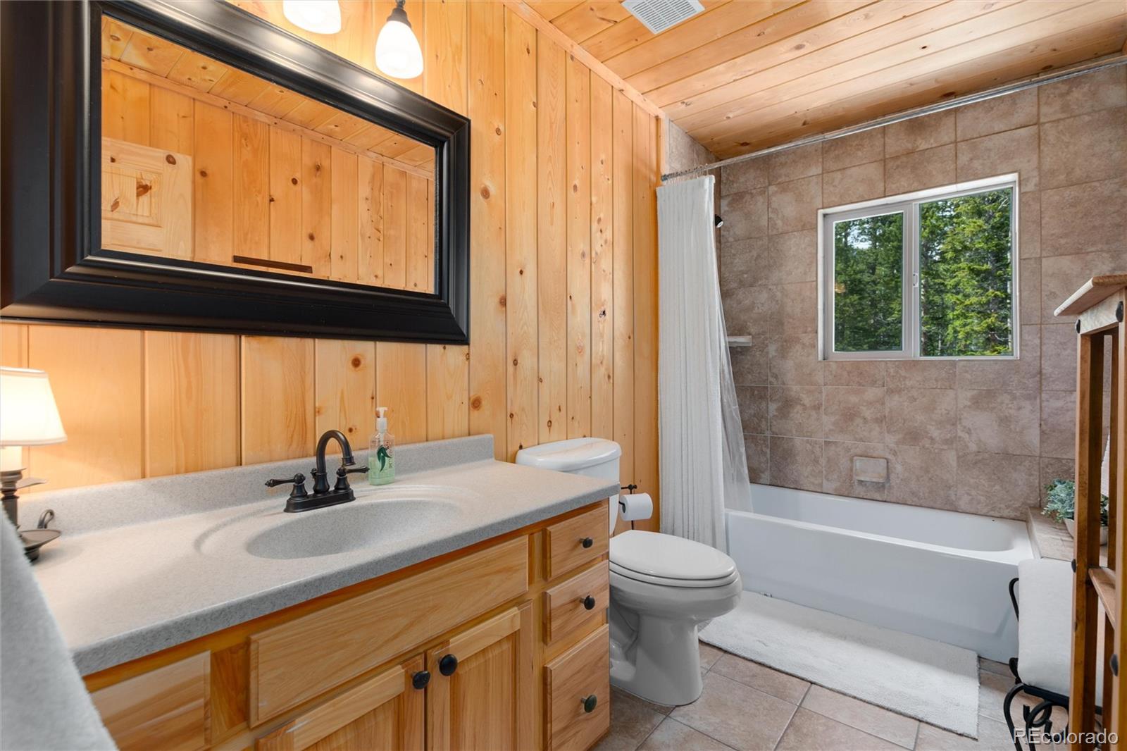 MLS Image #25 for 696  brook drive,idaho springs, Colorado