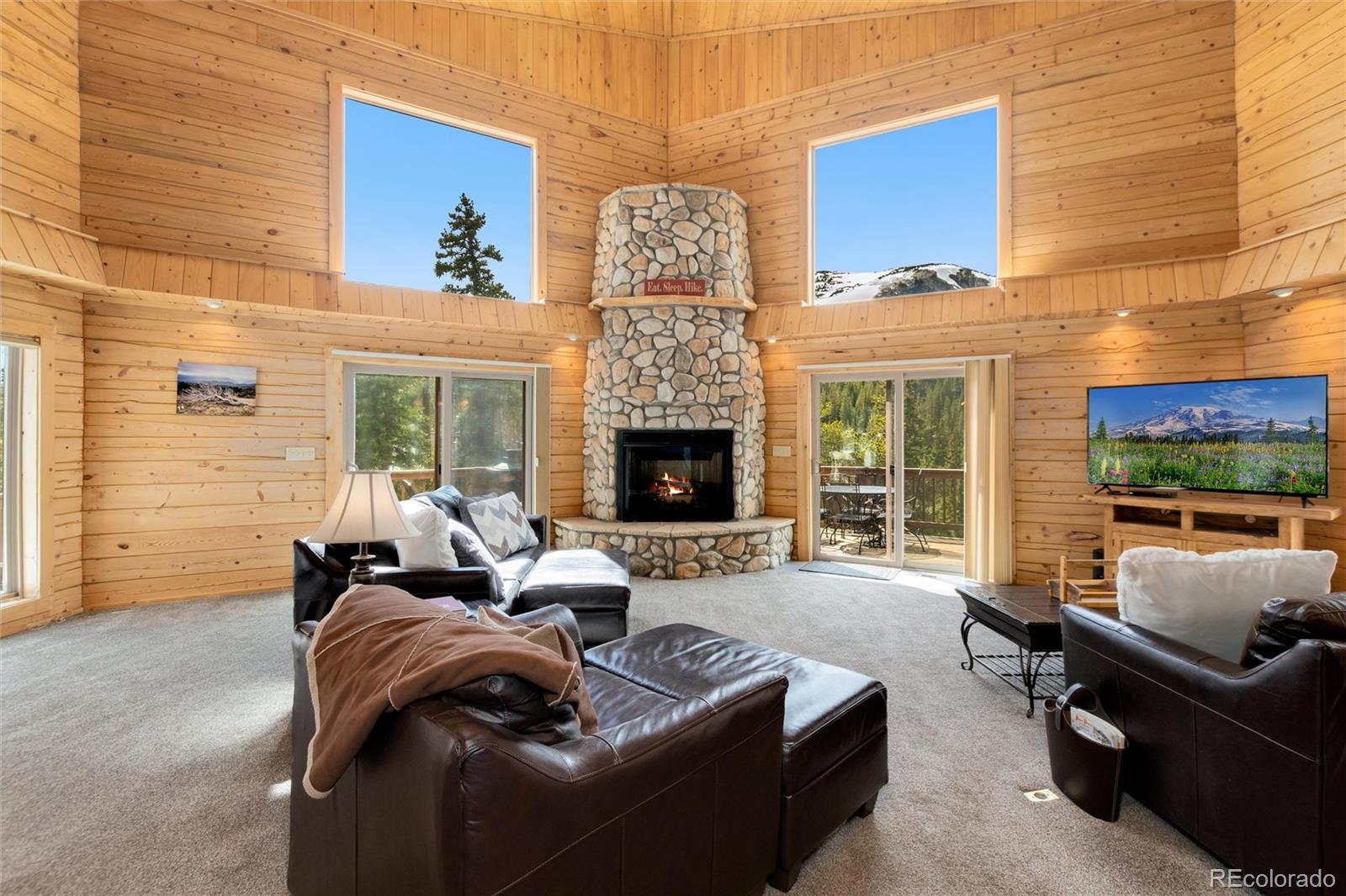 MLS Image #3 for 696  brook drive,idaho springs, Colorado