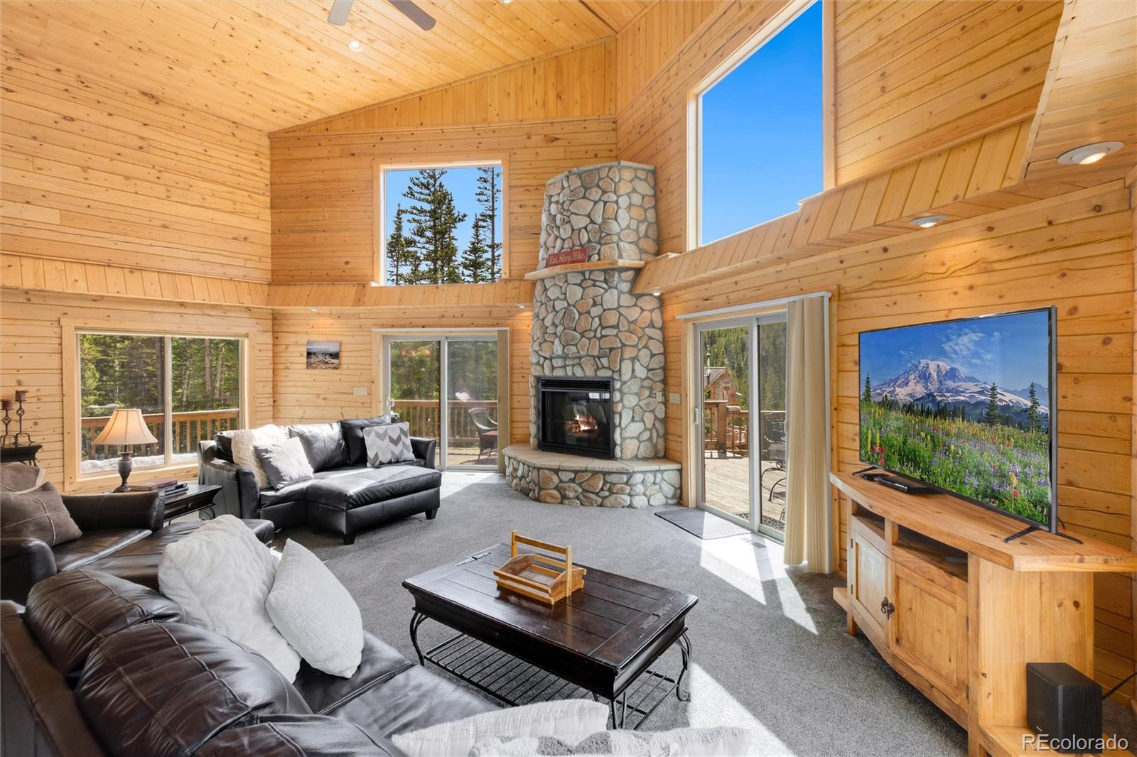 MLS Image #4 for 696  brook drive,idaho springs, Colorado