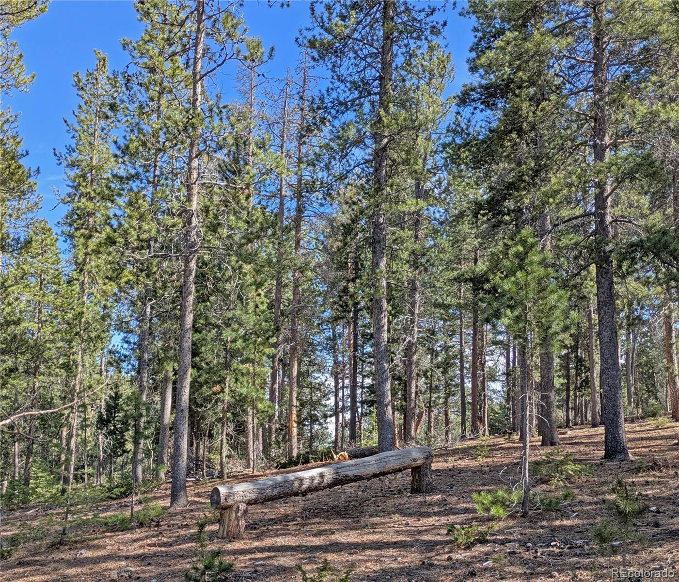 MLS Image #19 for 30620  highway 72 ,golden, Colorado