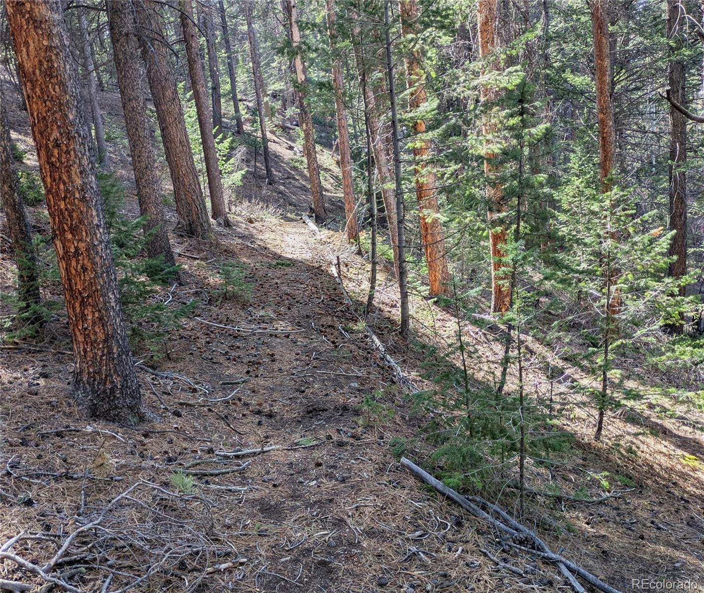MLS Image #20 for 30620  highway 72 ,golden, Colorado