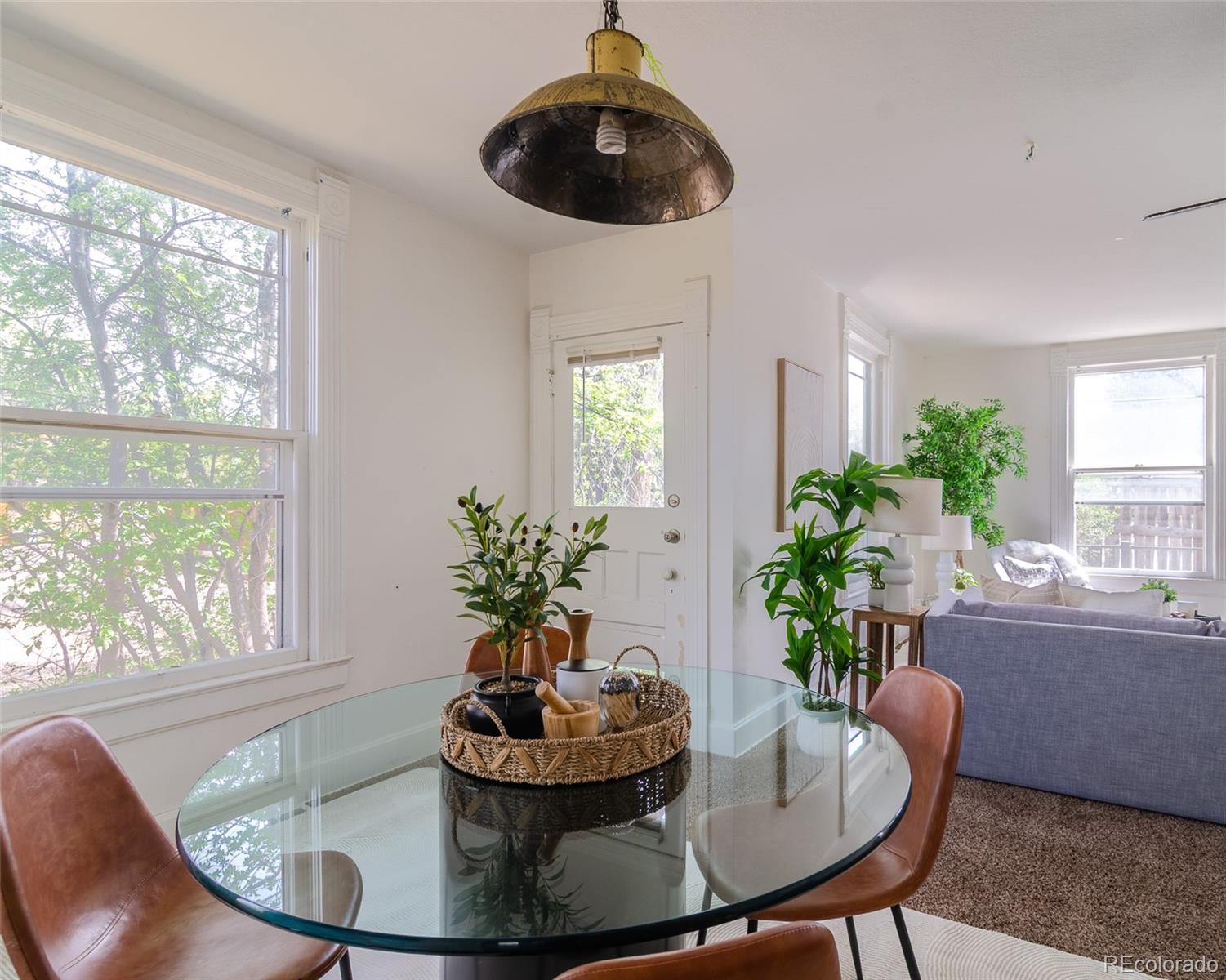 MLS Image #11 for 445  hover street,longmont, Colorado