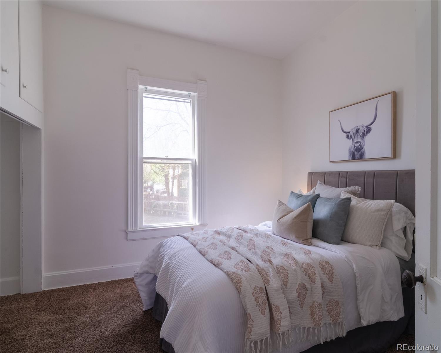 MLS Image #15 for 445  hover street,longmont, Colorado