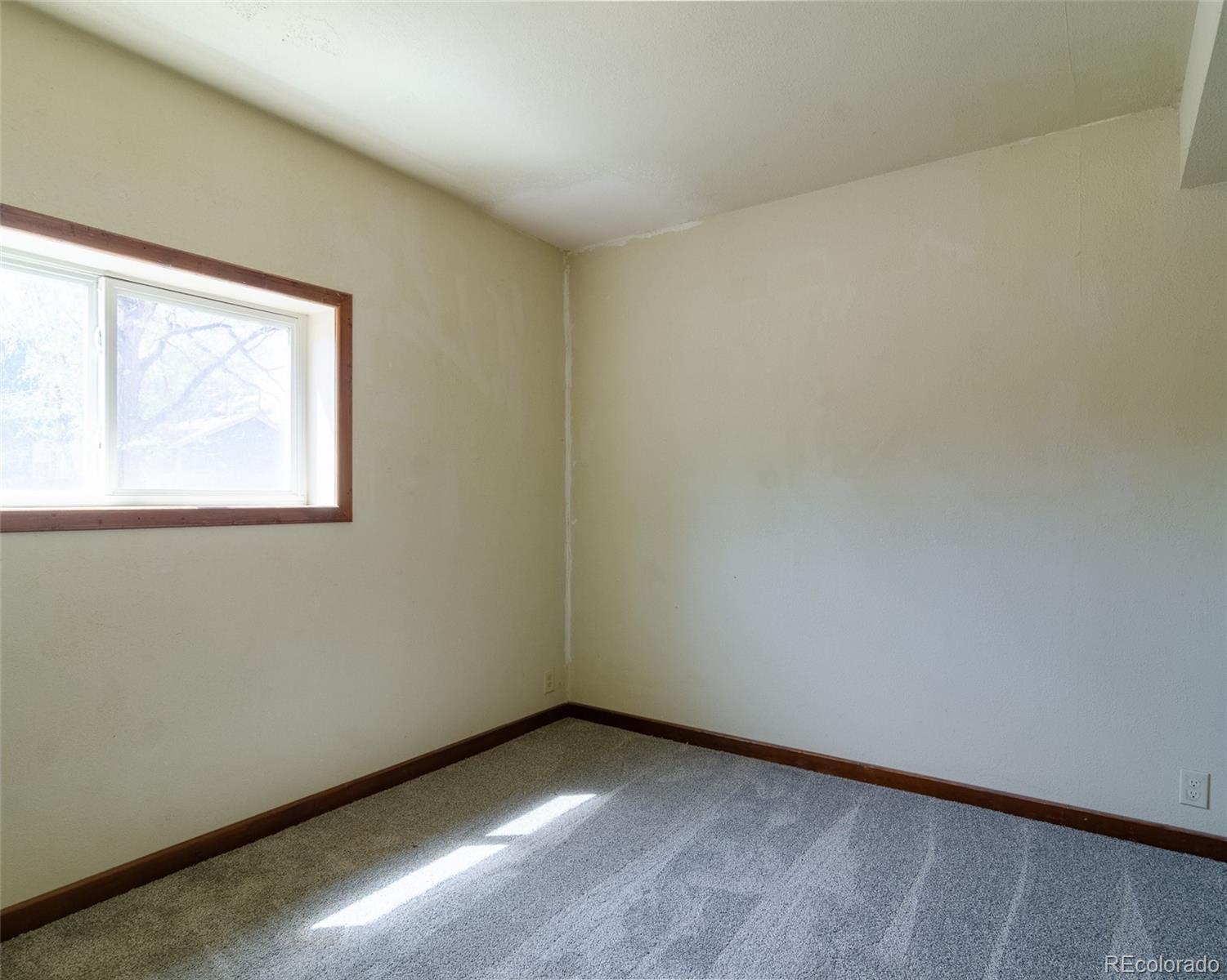 MLS Image #26 for 445  hover street,longmont, Colorado