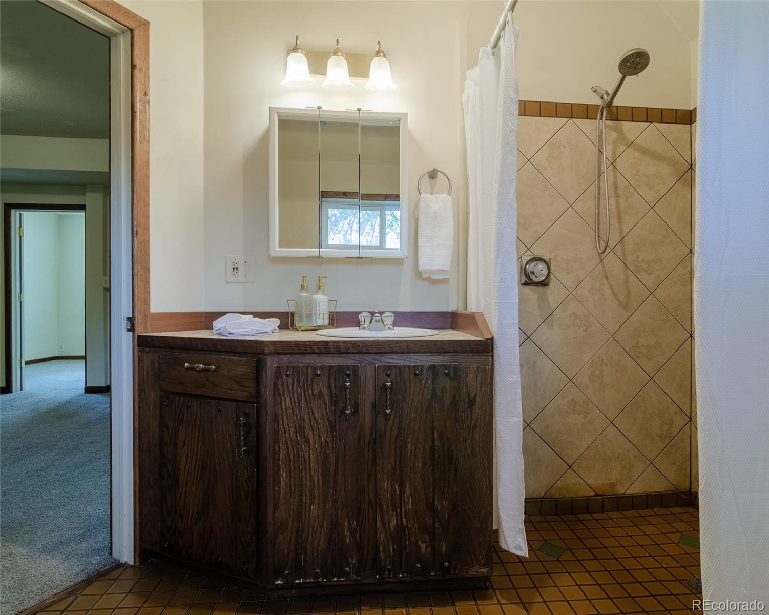 MLS Image #32 for 445  hover street,longmont, Colorado