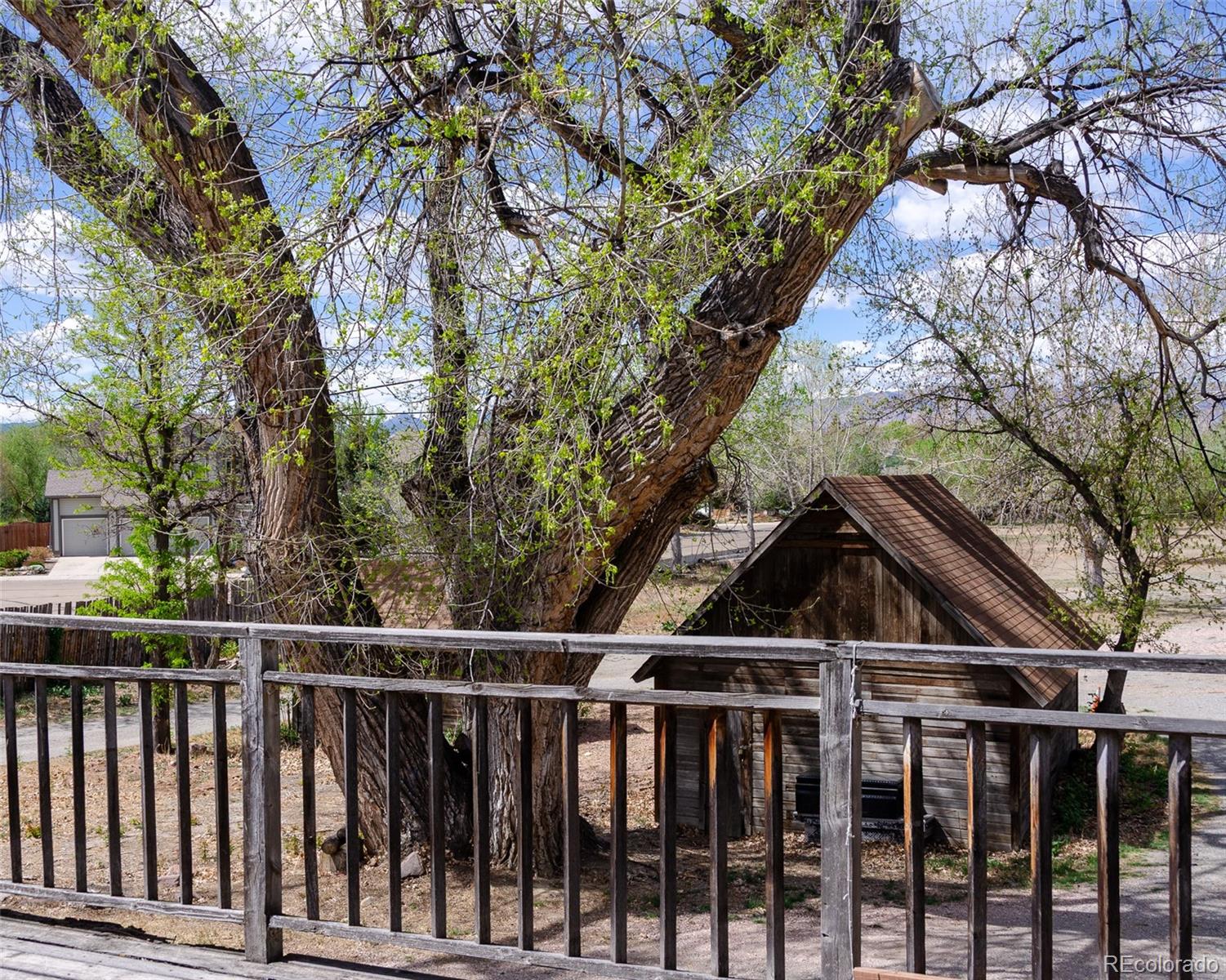 MLS Image #34 for 445  hover street,longmont, Colorado