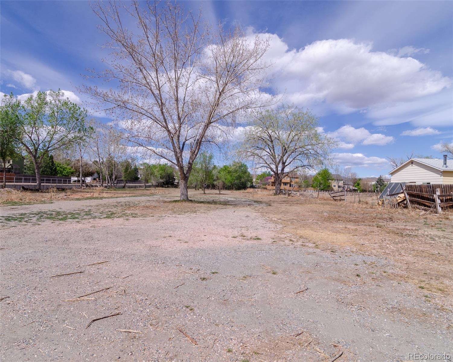 MLS Image #36 for 445  hover street,longmont, Colorado