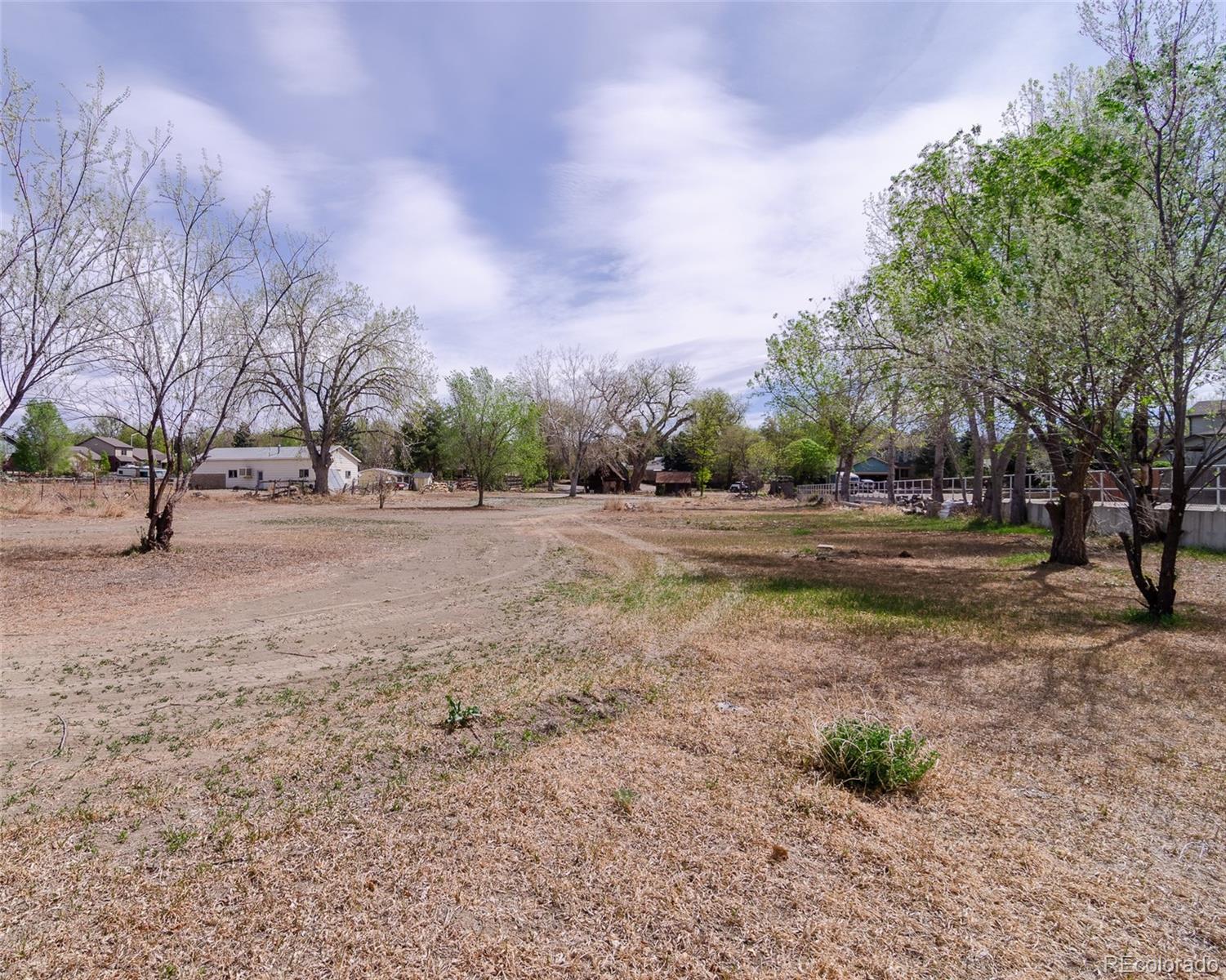 MLS Image #37 for 445  hover street,longmont, Colorado