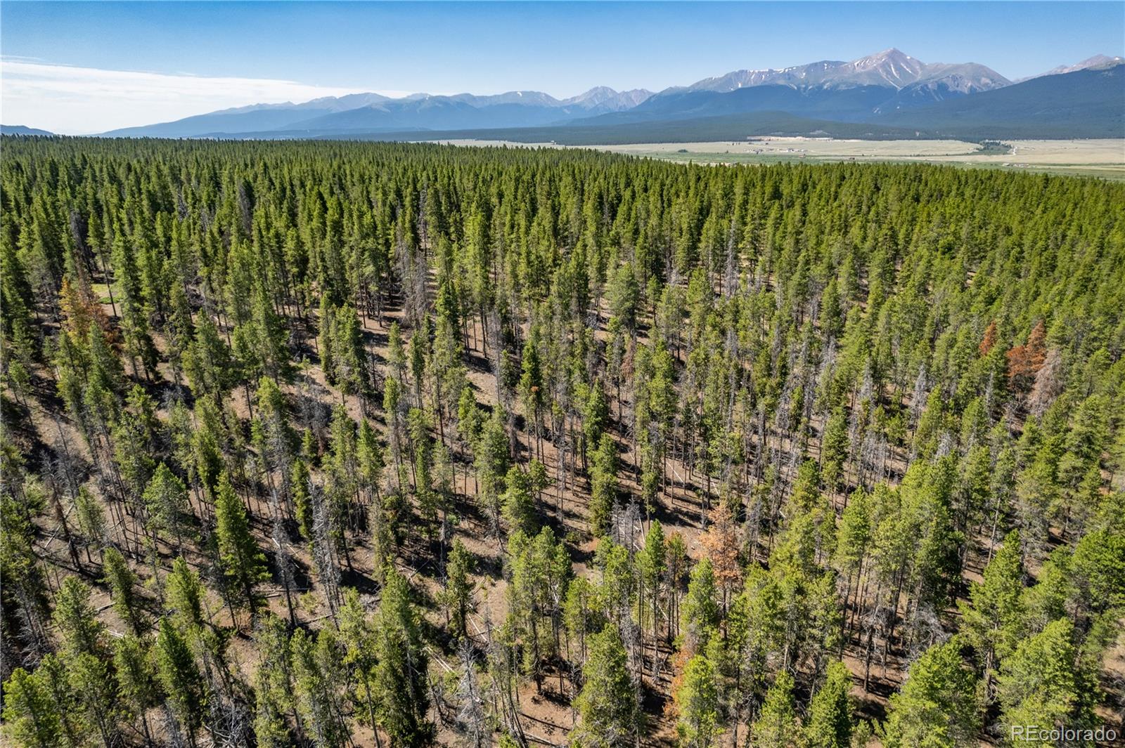 MLS Image #13 for 12340  us highway 24 ,leadville, Colorado