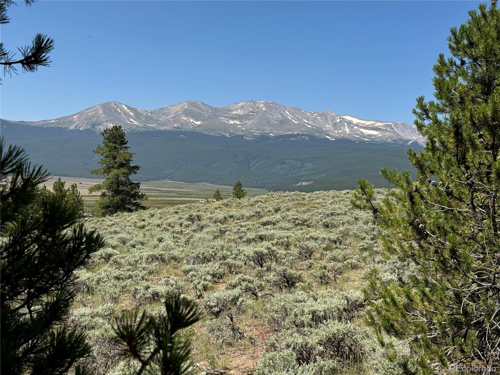 MLS Image #17 for 12340  us highway 24 ,leadville, Colorado
