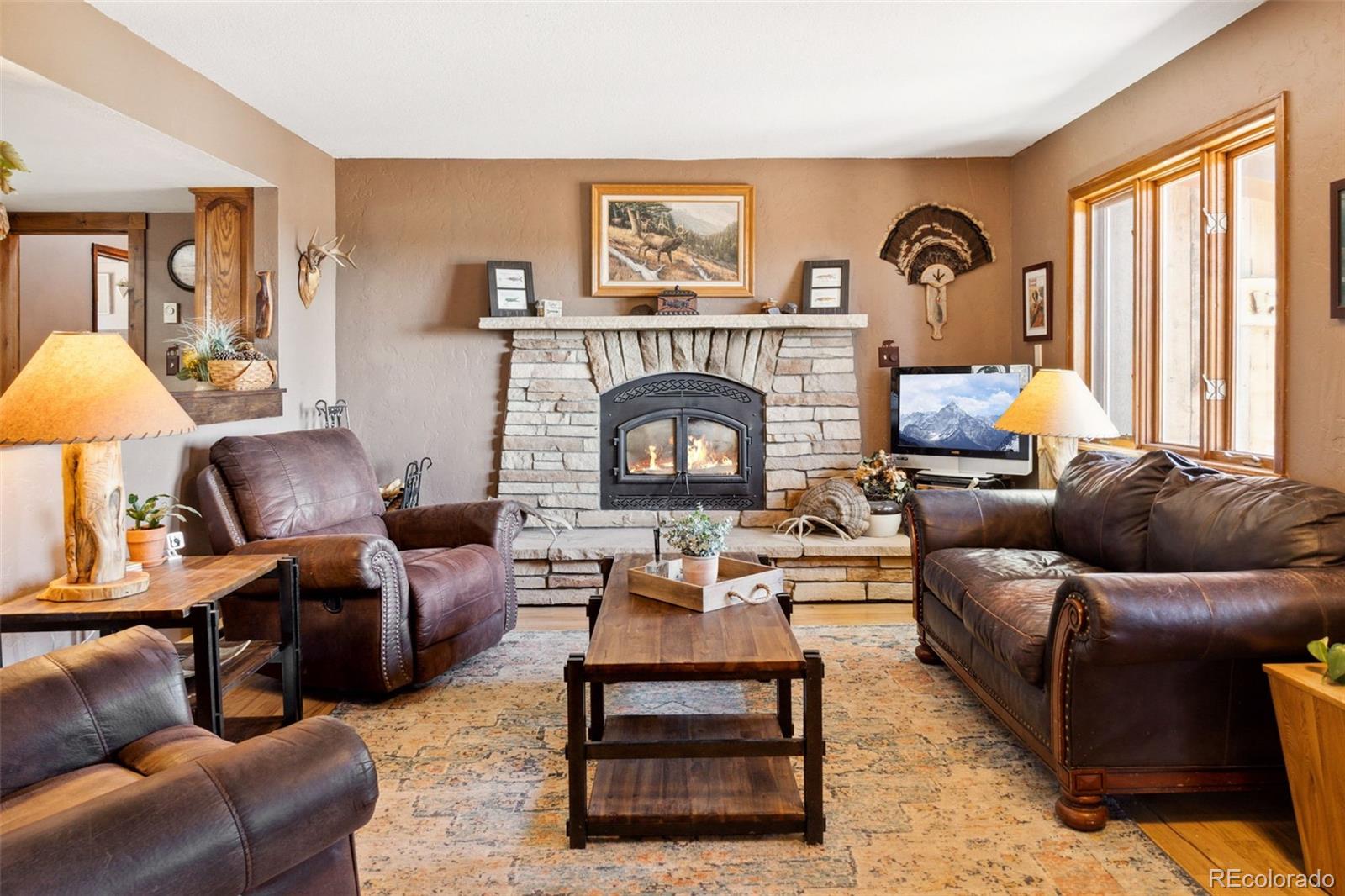 MLS Image #1 for 96  county road 7 ,fairplay, Colorado