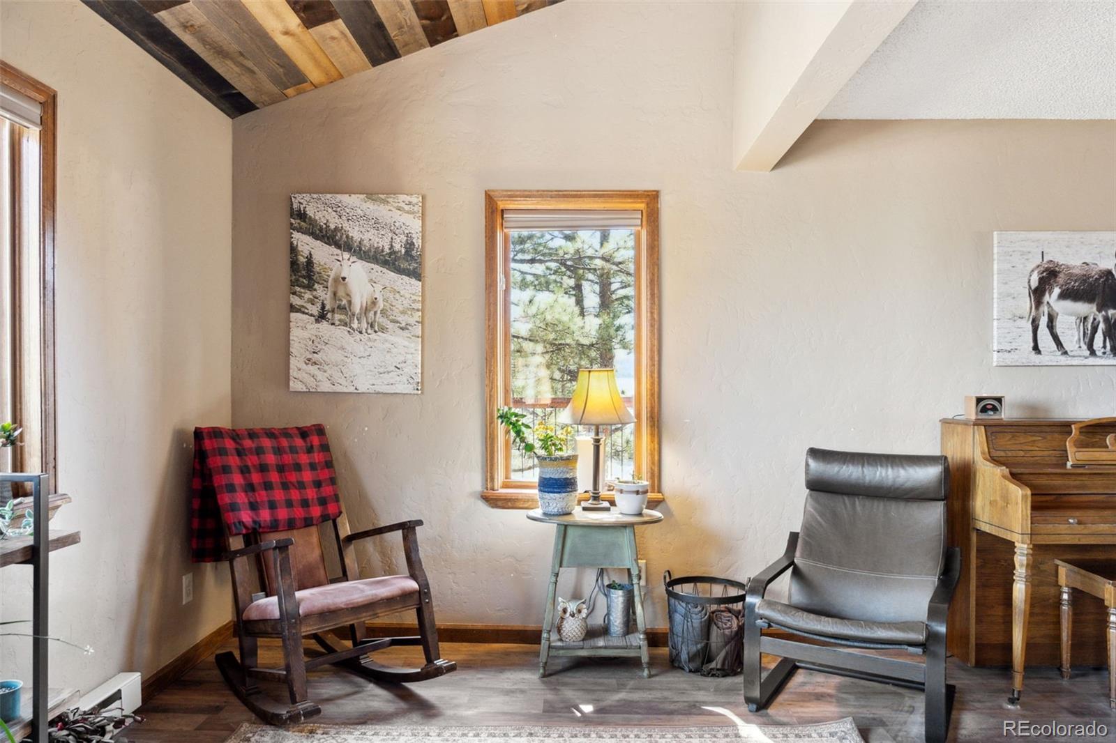 MLS Image #12 for 96  county road 7 ,fairplay, Colorado