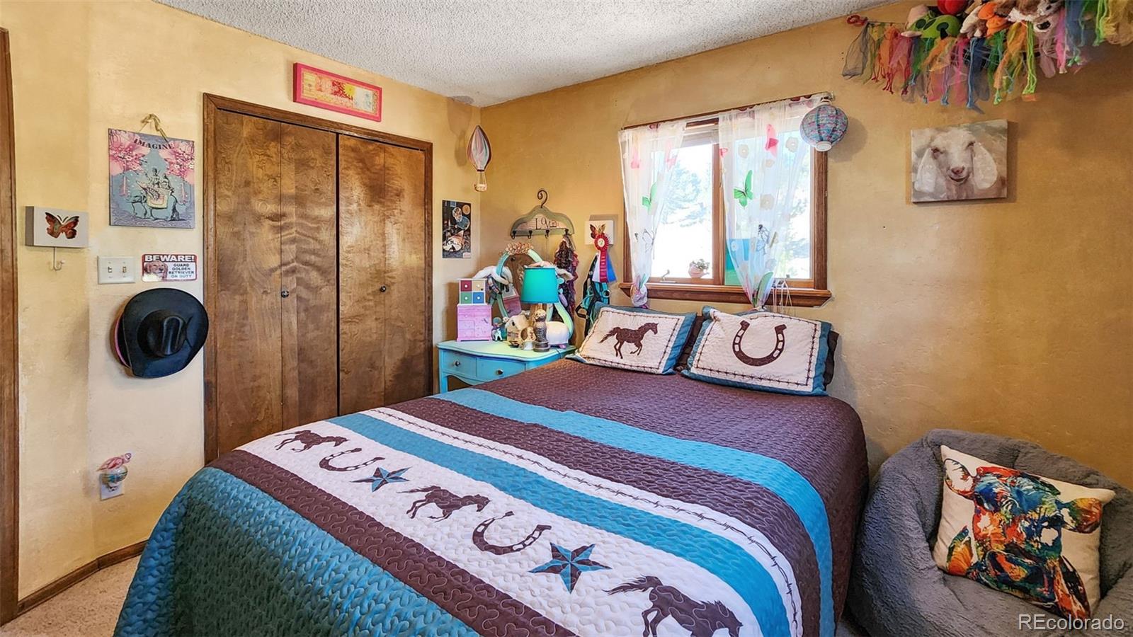 MLS Image #18 for 96  county road 7 ,fairplay, Colorado
