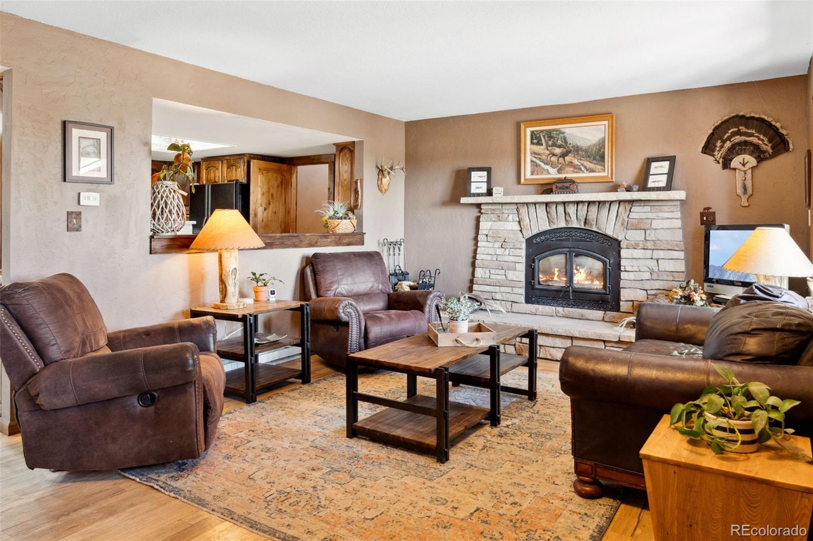 MLS Image #2 for 96  county road 7 ,fairplay, Colorado