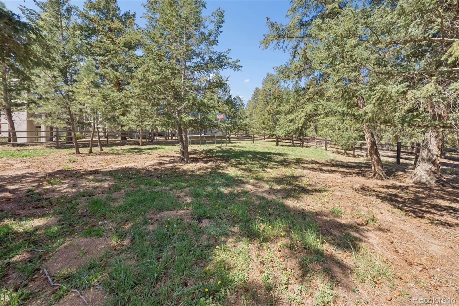 MLS Image #46 for 1361  bross court,evergreen, Colorado