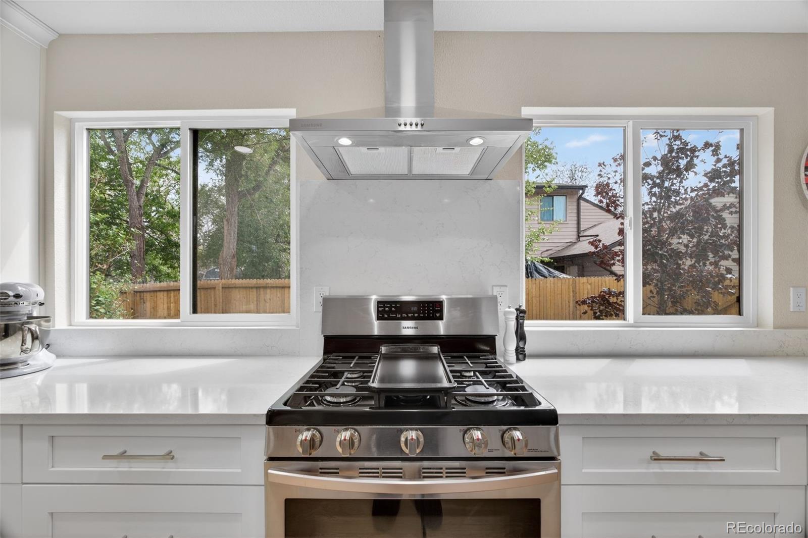 MLS Image #12 for 540 s forest street,denver, Colorado
