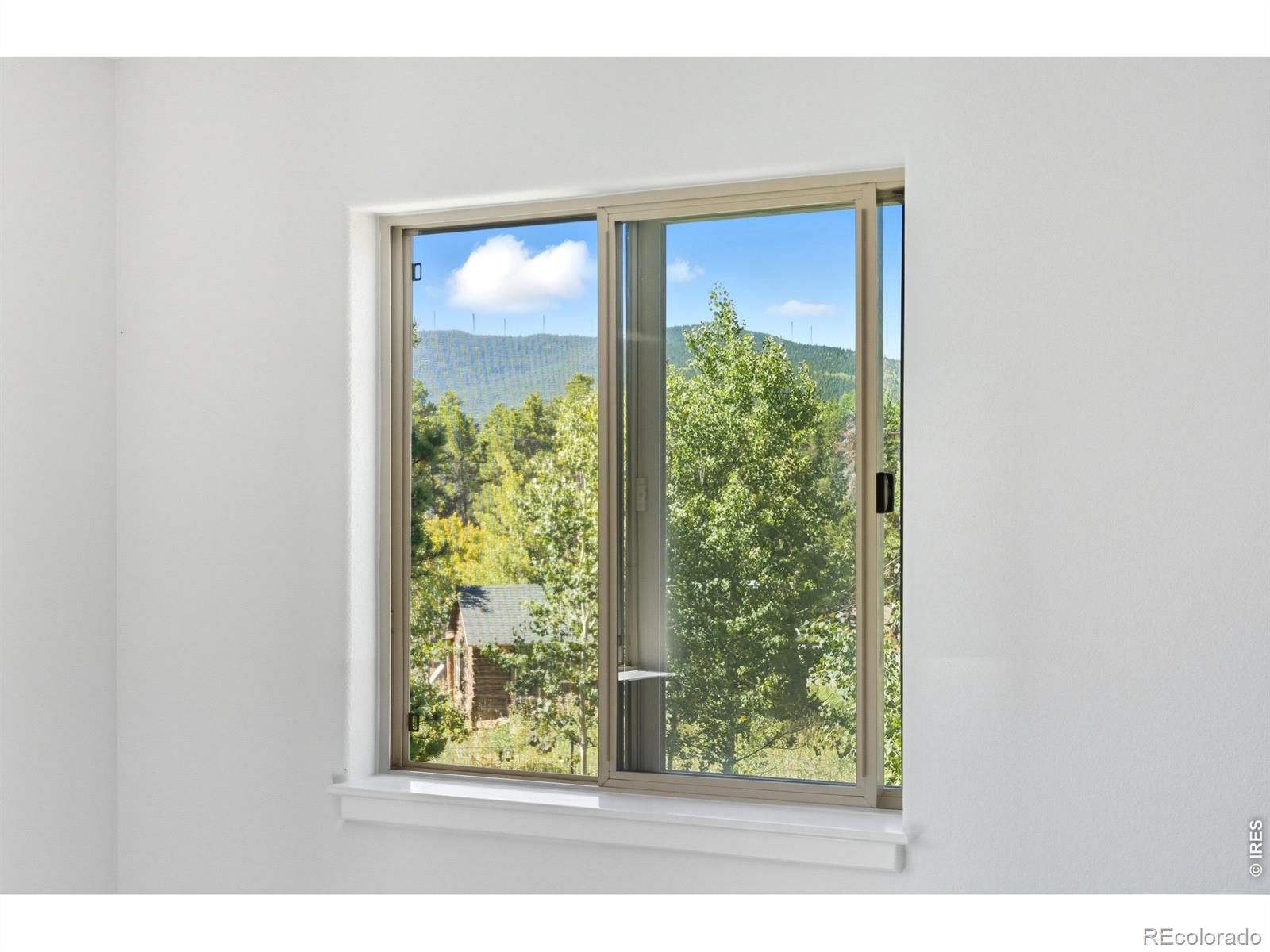 MLS Image #16 for 4  gap road,black hawk, Colorado