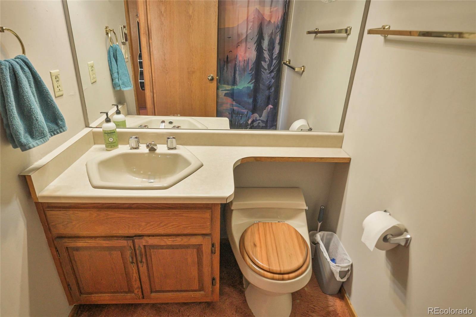 MLS Image #24 for 1331  panadero avenue,la veta, Colorado