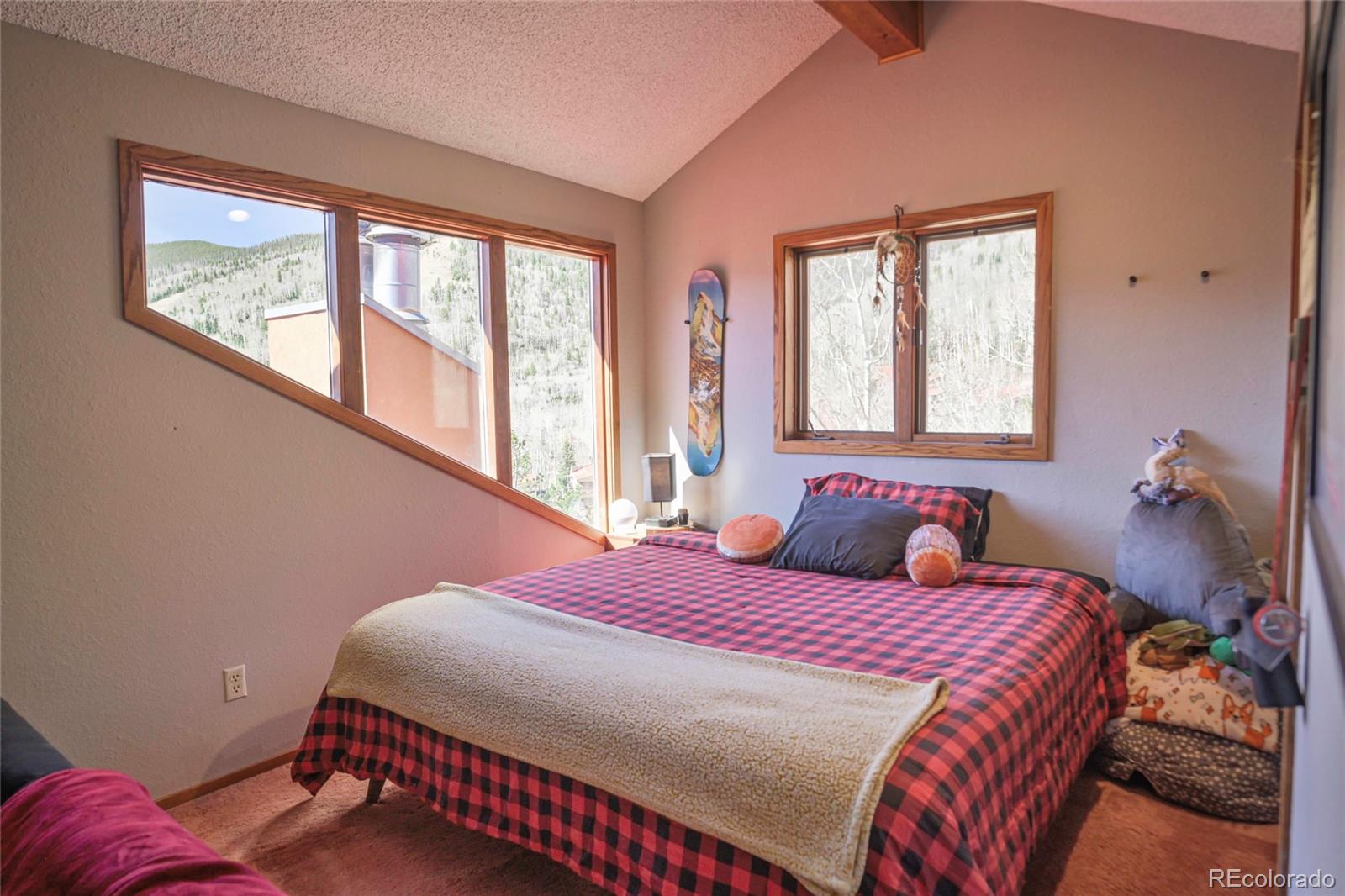 MLS Image #25 for 1331  panadero avenue,la veta, Colorado