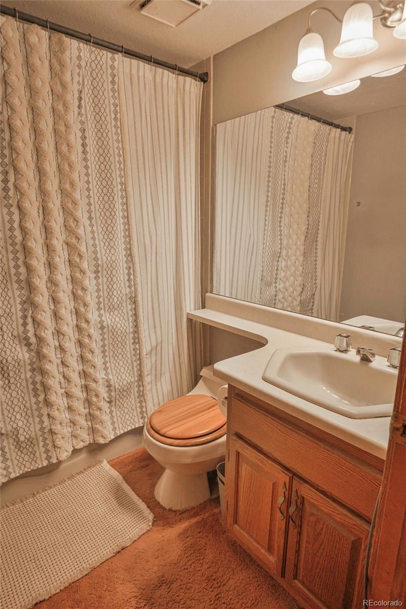 MLS Image #33 for 1331  panadero avenue,la veta, Colorado