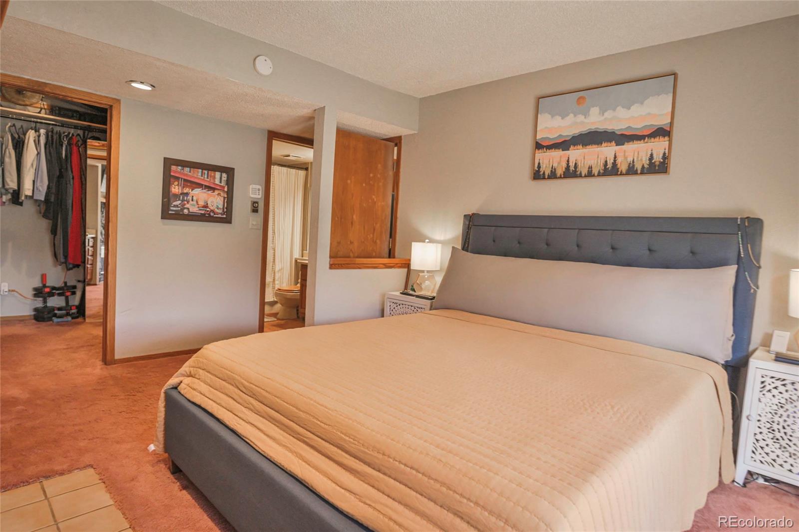 MLS Image #34 for 1331  panadero avenue,la veta, Colorado