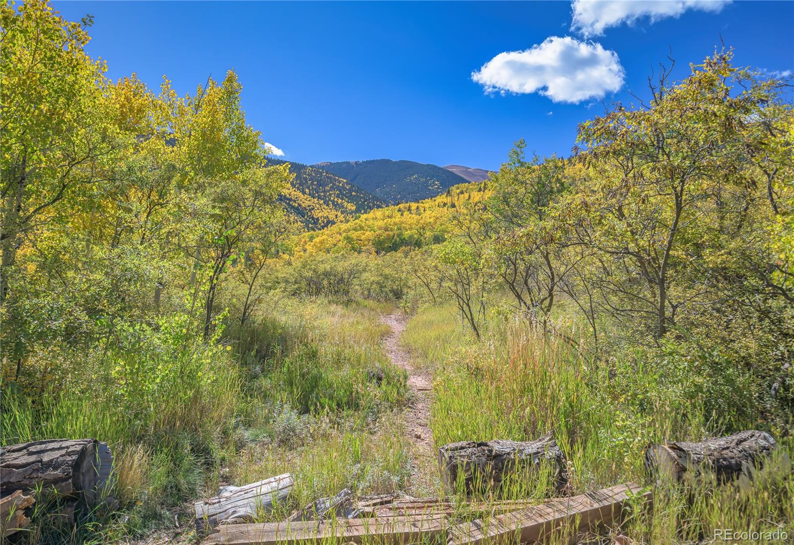 MLS Image #49 for 1331  panadero avenue,la veta, Colorado