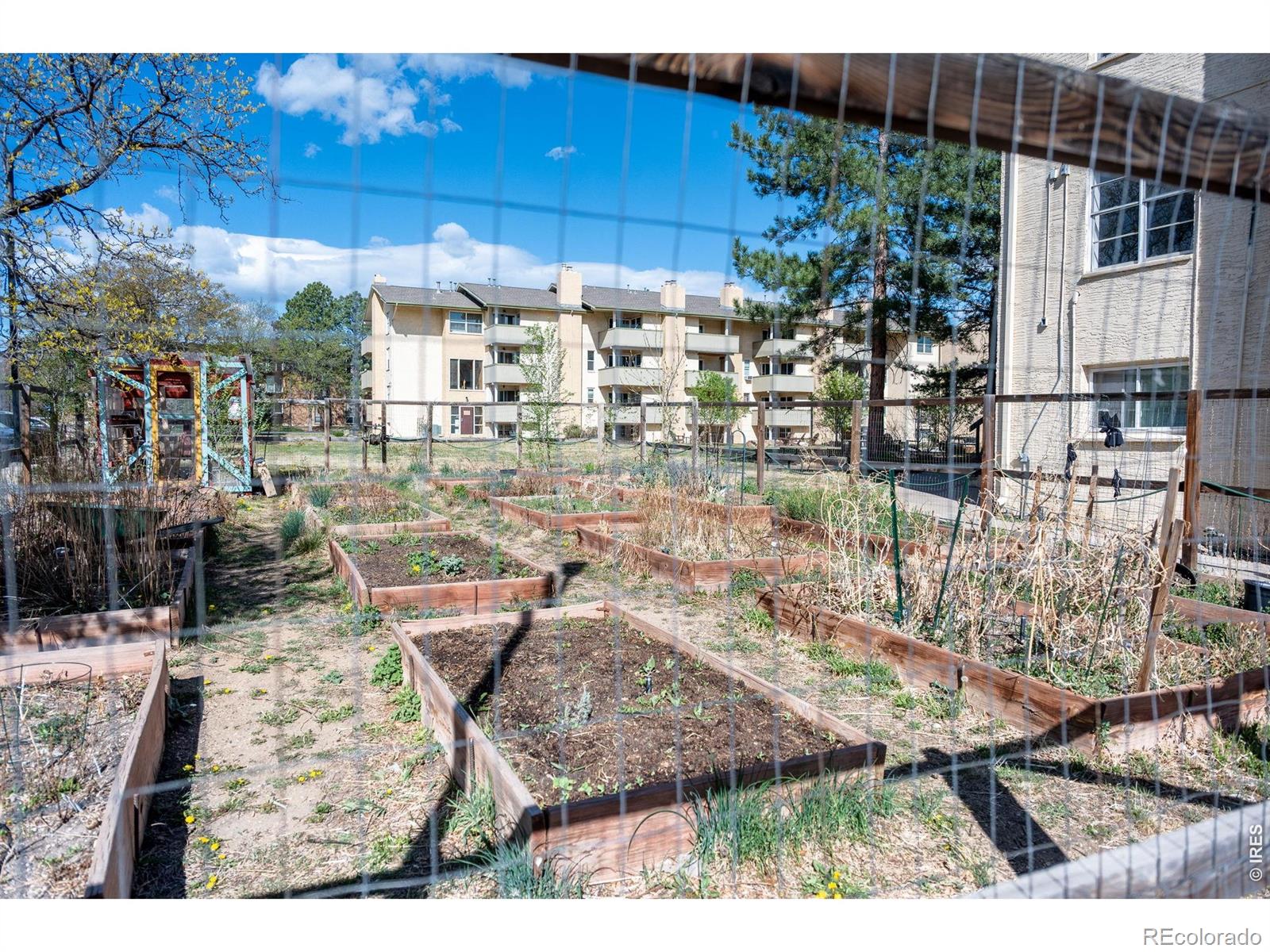 MLS Image #26 for 3030  oneal parkway,boulder, Colorado