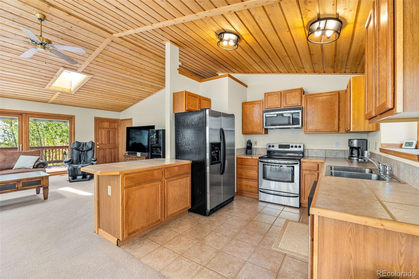 MLS Image #16 for 318  foxtail lane,fairplay, Colorado