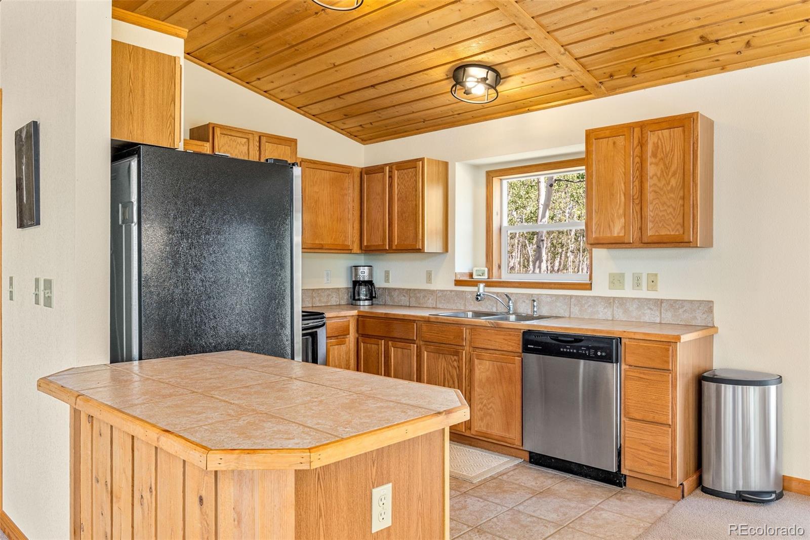 MLS Image #18 for 318  foxtail lane,fairplay, Colorado