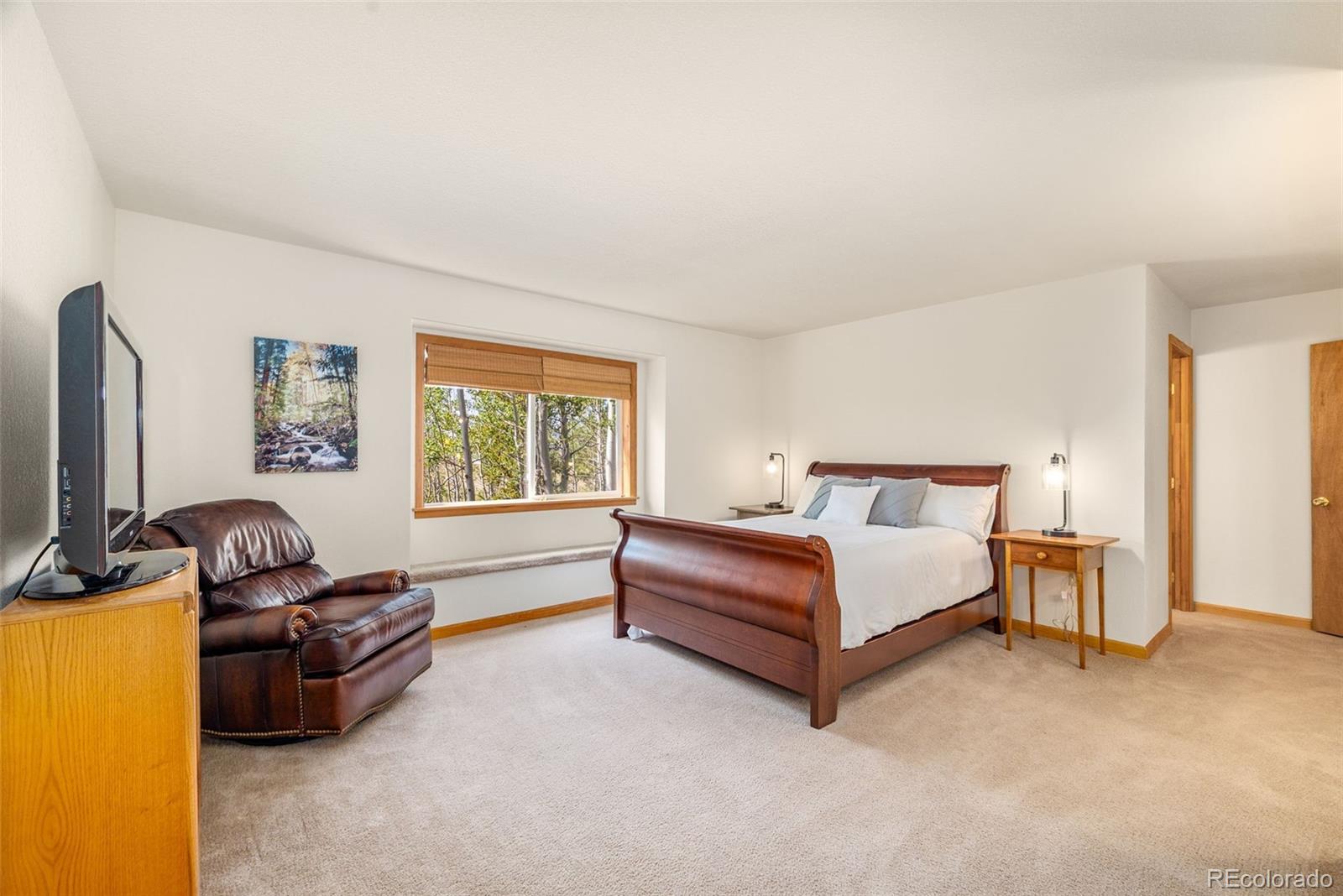 MLS Image #19 for 318  foxtail lane,fairplay, Colorado
