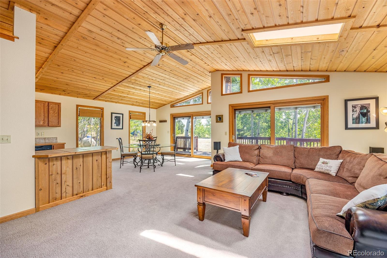 MLS Image #2 for 318  foxtail lane,fairplay, Colorado