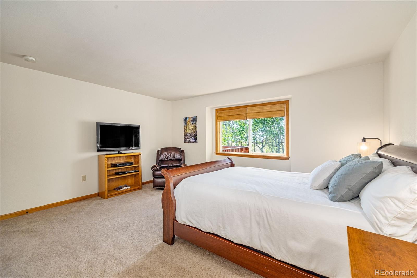 MLS Image #20 for 318  foxtail lane,fairplay, Colorado