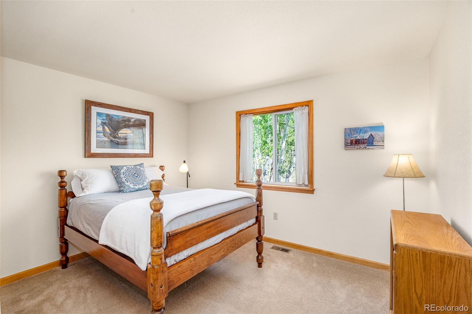 MLS Image #23 for 318  foxtail lane,fairplay, Colorado