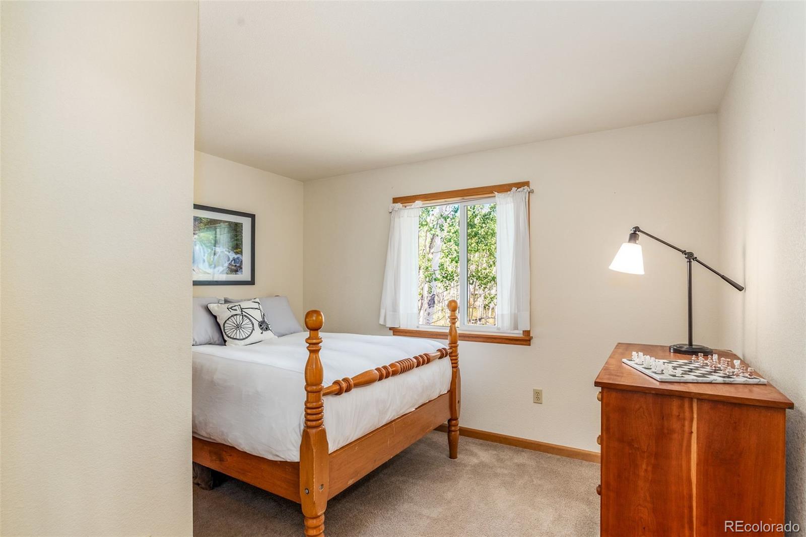 MLS Image #25 for 318  foxtail lane,fairplay, Colorado