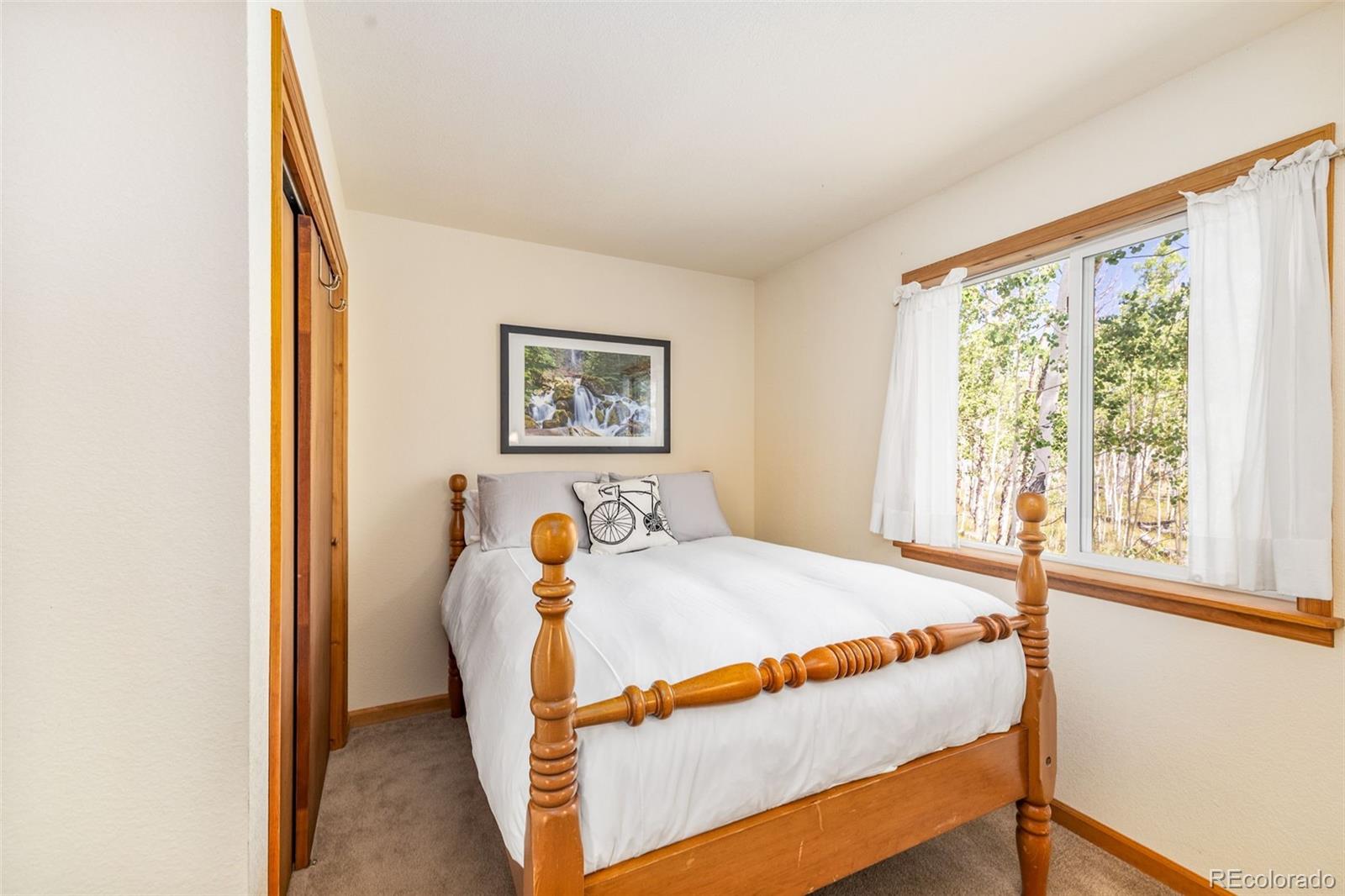 MLS Image #26 for 318  foxtail lane,fairplay, Colorado